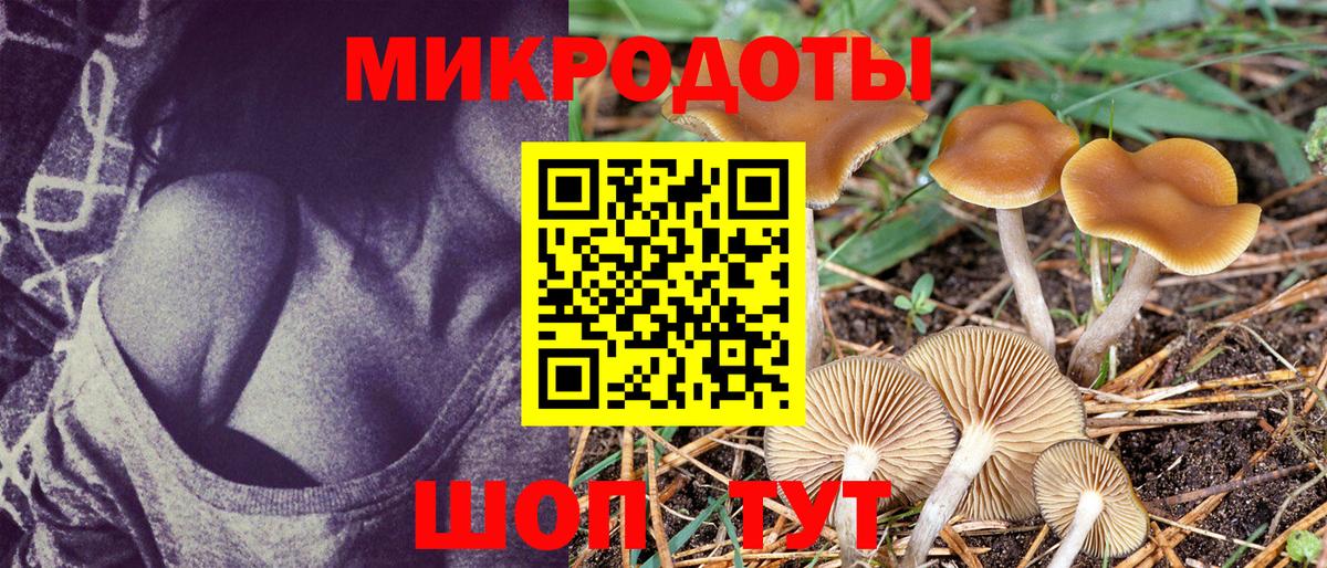 Саранск  Галлюциногенные грибы Magic Shrooms  Вход с VPN  Галлюциногенные грибы мухоморы 